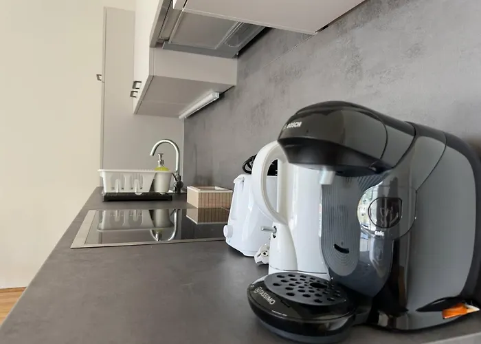 Muzeta - Eco-friendly Parkview In Graz's Smart